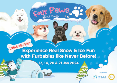 4 Paws at Ice Magic