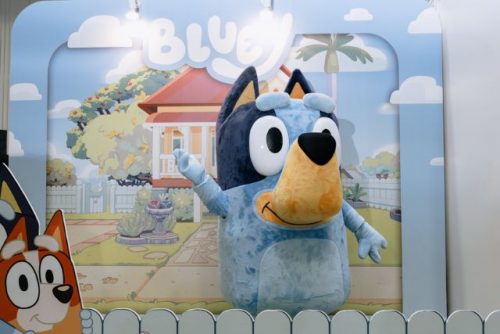 Bluey meet and greet comic con