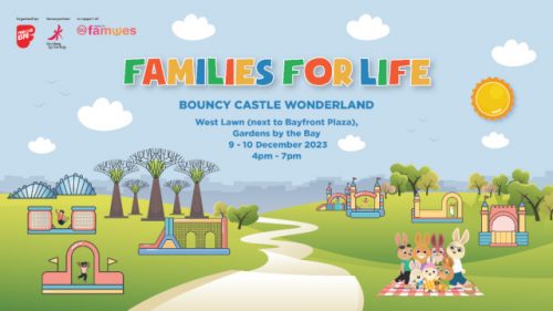 Families for Life (FFL) Bouncy Castle Wonderland 2023