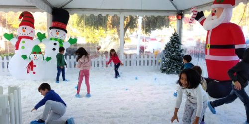 Frasers Property Singapore Malls See Snow Fall