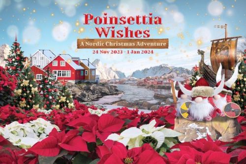 Poinsettia Wishes at Gardens by the Bay 2023