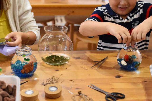 Volcanic Shrimp Aquarium Workshop