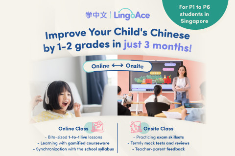 LingoAce Chinese Enrichment