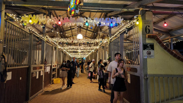 Repurposed Christmas lights at the stable