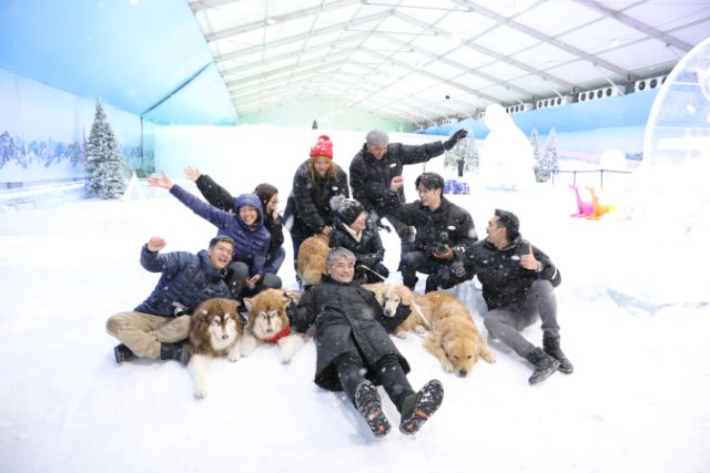 4 Paws at Ice Magic Singapore