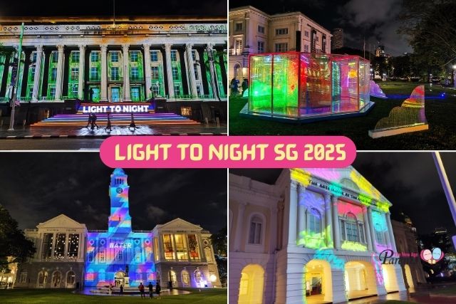 Light to Night SG 2025