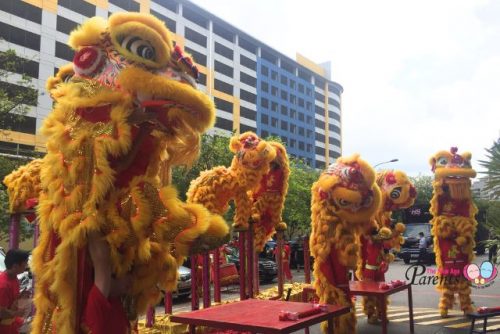 Lion Dance Chinese New Year