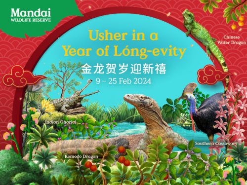 Mandai Wildlife Reserve Lunar New Year