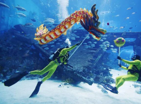 Sea Aquarium Lunar New Year Underwater Dragon
