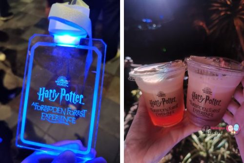 Harry Potter A Forbidden Forest Experience Butterbeer