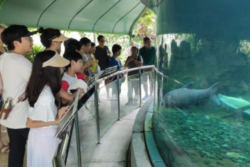 Gardens by the Bay Biodiversity and Ecosystem