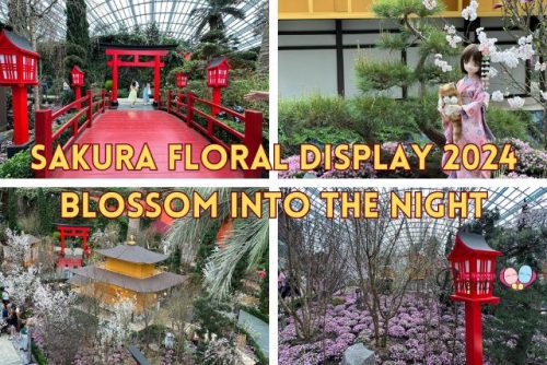 Sakura Flora Display 2024