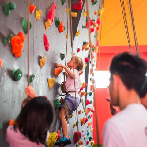 Verticlimb rock climbing for kids