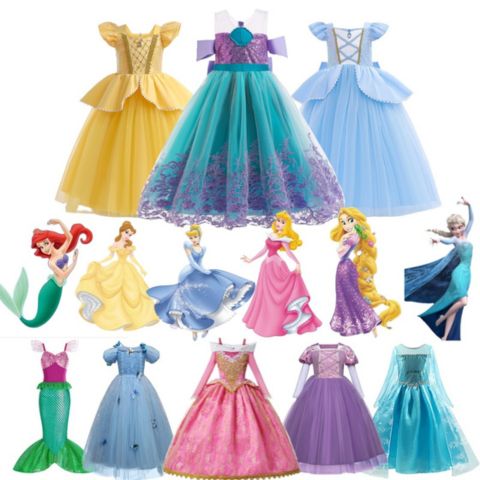 Disney Princess Costume