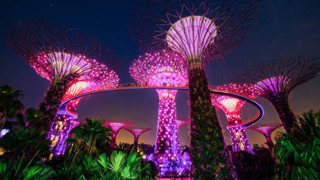 13 Things to do this Weekend for the Whole Family in Singapore