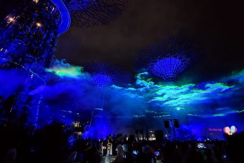 Northern Lights Gardens by the Bay Supertree Grove