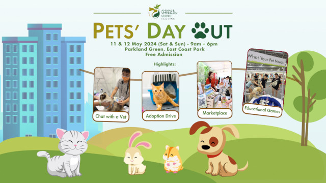 Pets' Day Out May 2024