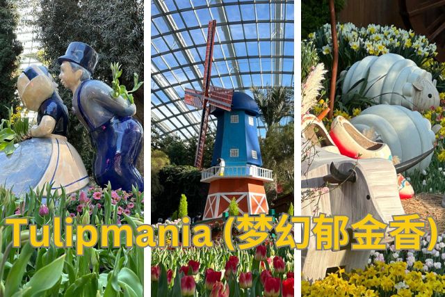 Tulipmania is Gardens by the Bay’s first floral display to reach its 10th edition