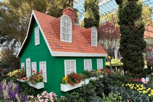 Tulipmania thatched-roof farmhouses