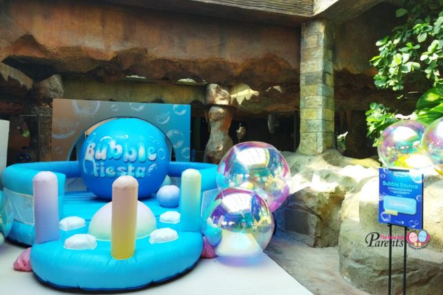 Adventure Cove Waterpark Bubble Fiesta RWS