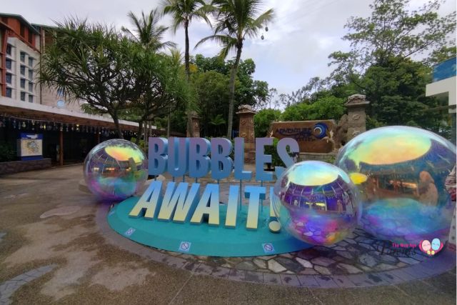 Adventure Cove Waterpark Bubble Fiesta