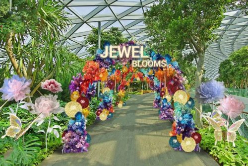 Jewel Changi Airport Floral-themed Displays