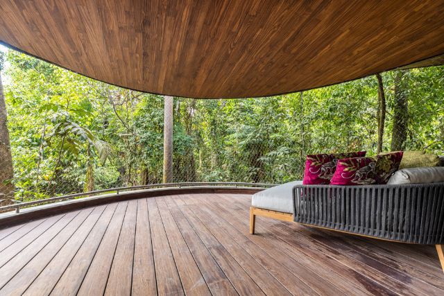 Views amongst the trees from the treehouse at Mandai Rainforest Resort