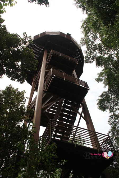 Chek Jawa Jejawi Tower