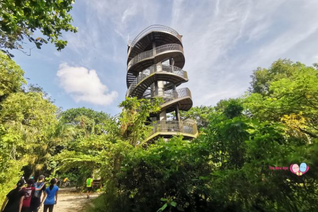 Chestnut Nature Park Observation Tower