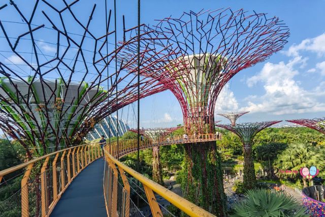 Gardens by the Bay Supertree Observatory