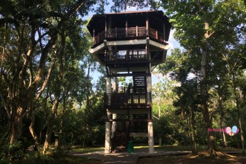 Pasir Ris Park Bird Watching Tower