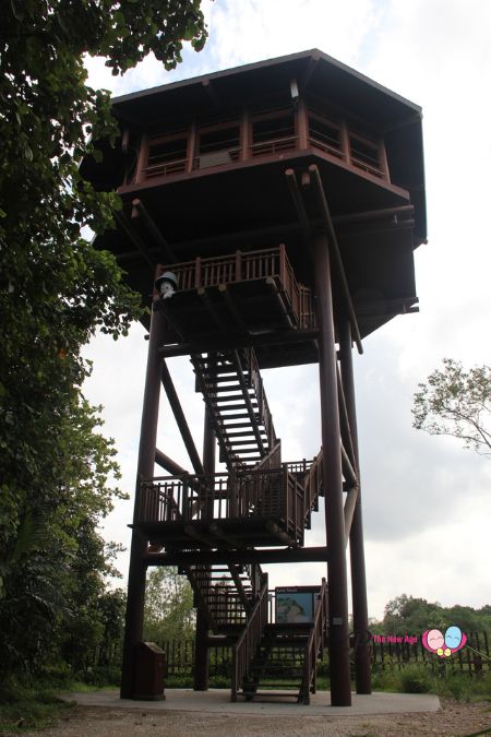 Sungei Buloh Aerie Tower