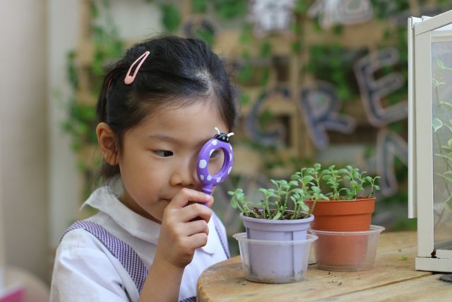 Mulberry Learning Preschool Singapore