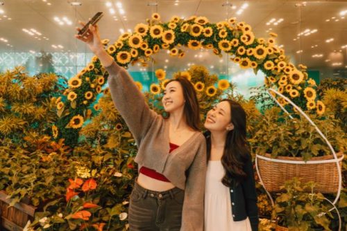 Changi Airport Sunflower floral arch