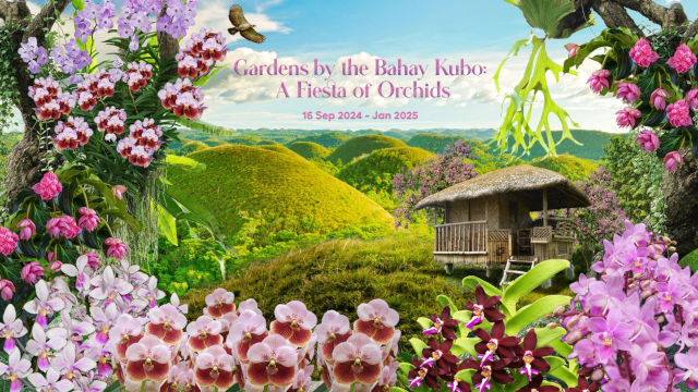 Gardens by the Bahay Kubo