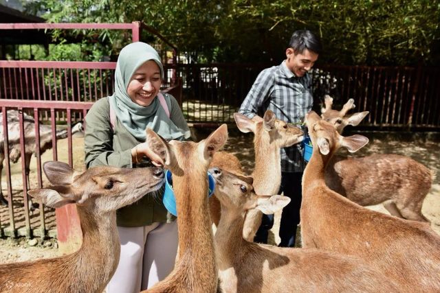 Langkawi Wildlife Park