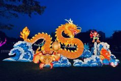 Mid-Autumn Festival @ Jurong Lake Gardens 2024 – Lights by the Lake