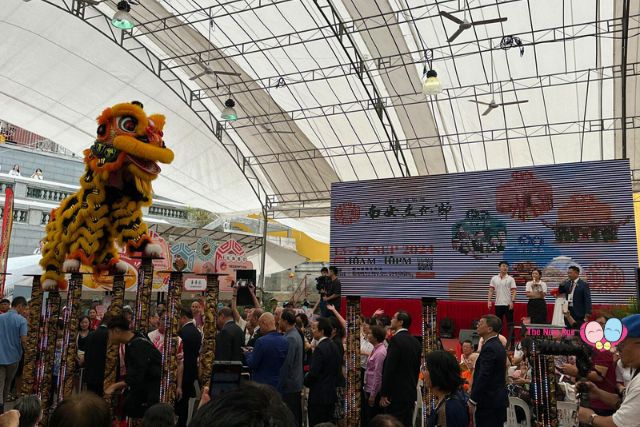 Singapore Hokkien Lam Ann Festival 2024 Lion Dance