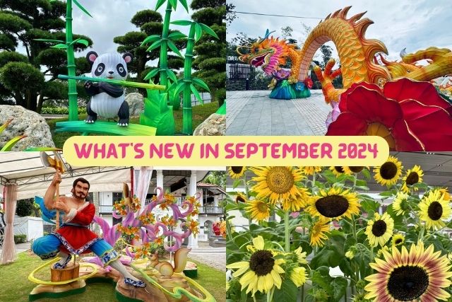 TNAP Highlights: What’s New In Singapore September 2024