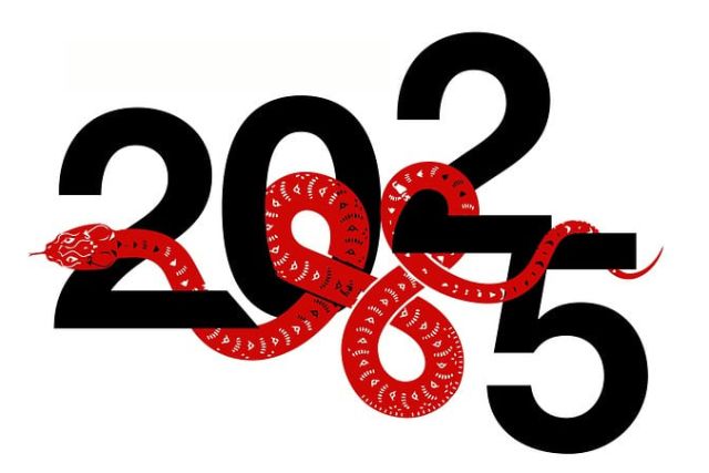 Year of the Snake Chinese Zodiac Forecast 2025