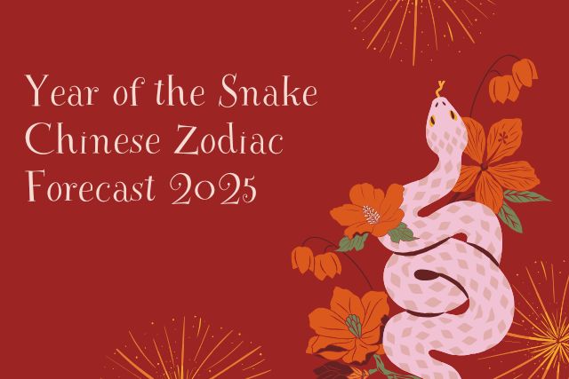 Year of the Snake Chinese Zodiac Forecast 2025