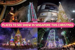 17 Places to See Snow in Singapore this Christmas 2024 (Updated)