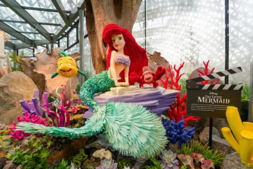 Ariel, Flounder and Sebastian from The Little Mermaid