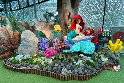 Disney Garden of Wonder The Little Mermaid