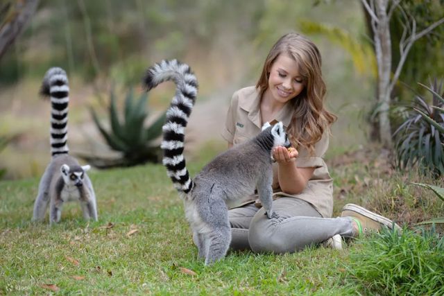 Family Fun in Gold Coast: Theme Parks, Beaches, and Wildlife