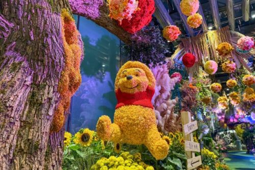 Winnie the Pooh at Disney Garden of Wonder