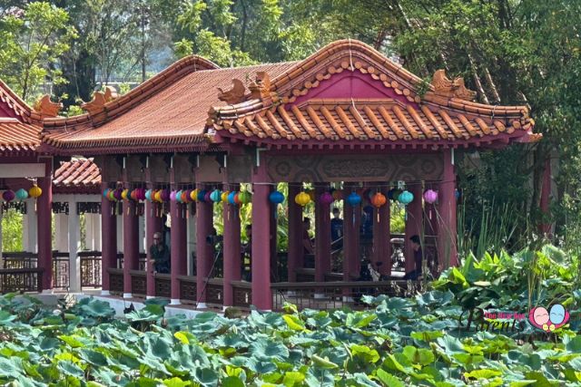 Chinese Garden CNY Decorations