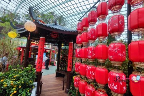 Flower Dome Spring Blossoms Lanterns