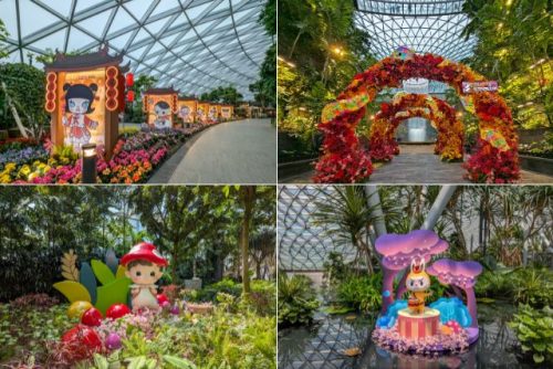 Jewel Changi Airport Year of the Snake Chinese New Year