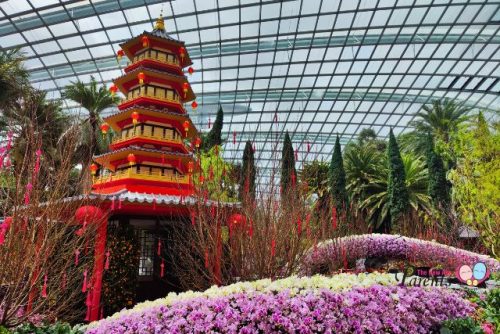 Leifeng Pagoda at Spring Blossoms Legend of Lady White Snake